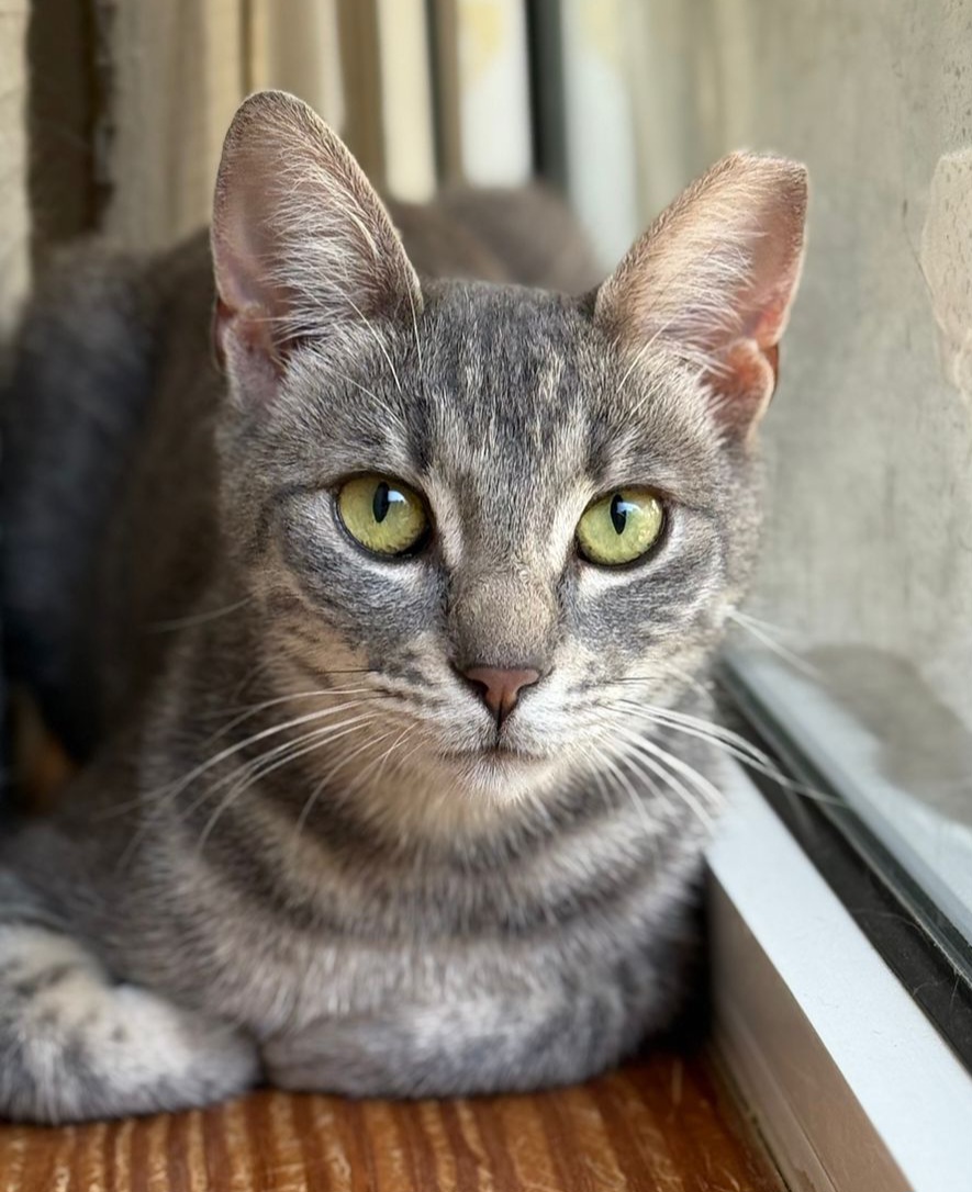 Nala (reserviert)