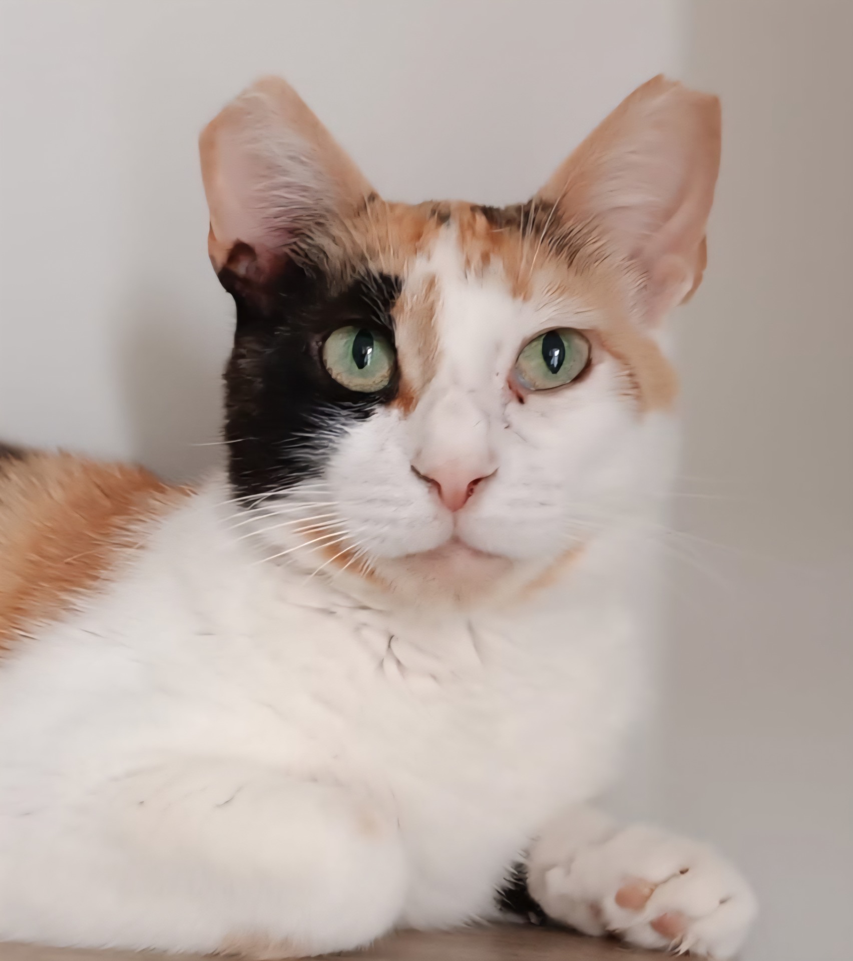 Rita