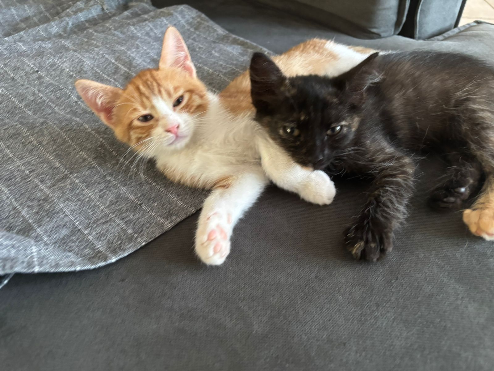 Mia & Stella