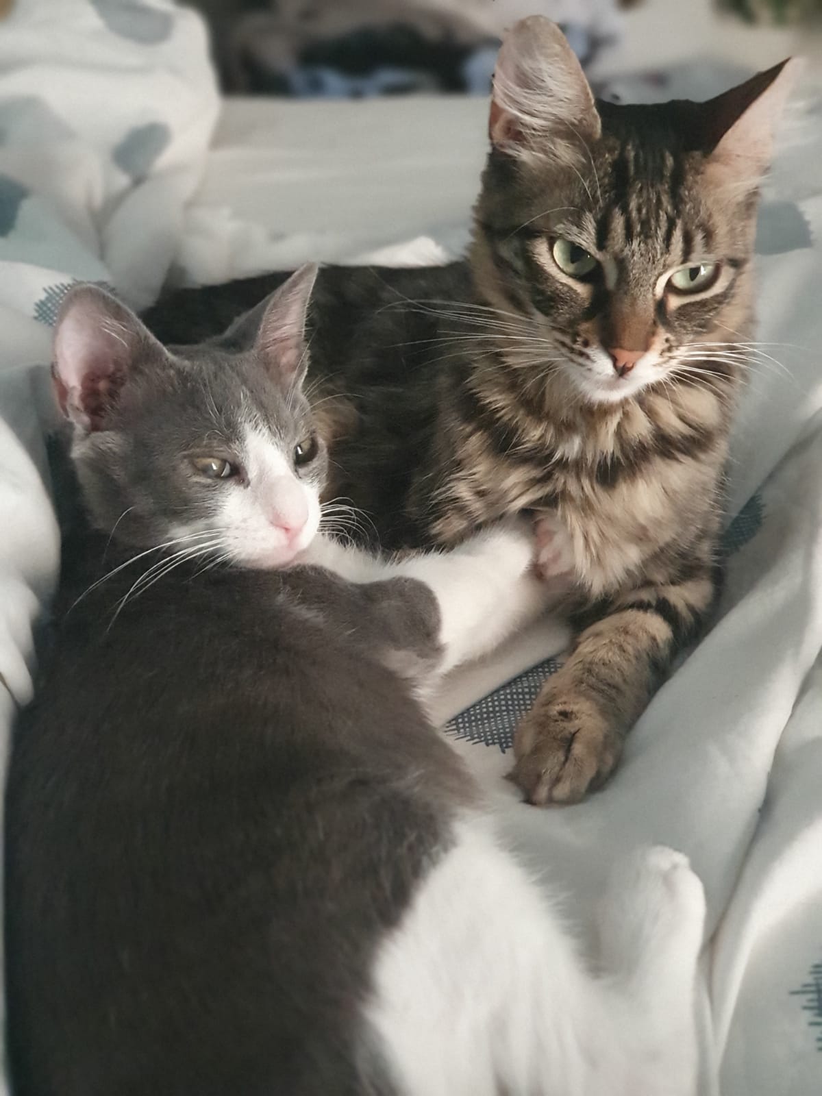 Jasmine & Stevie
