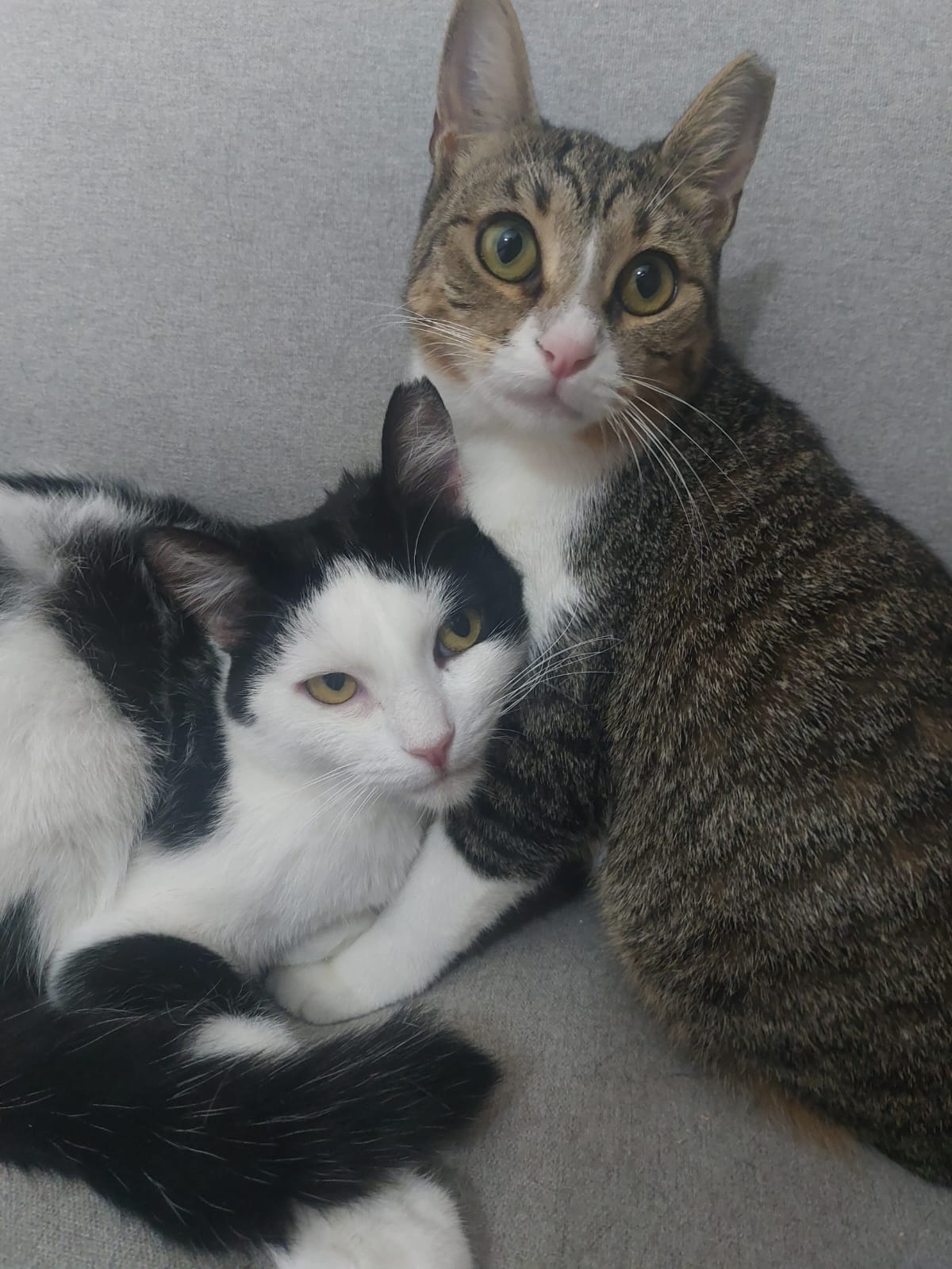 Isaac & Peggy Sue